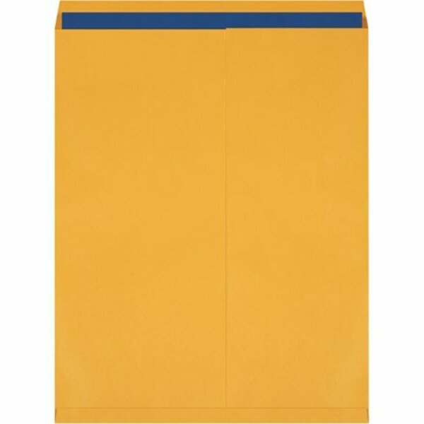 Bsc Preferred 24 x 30'' Kraft Jumbo Envelopes, 100PK S-14718